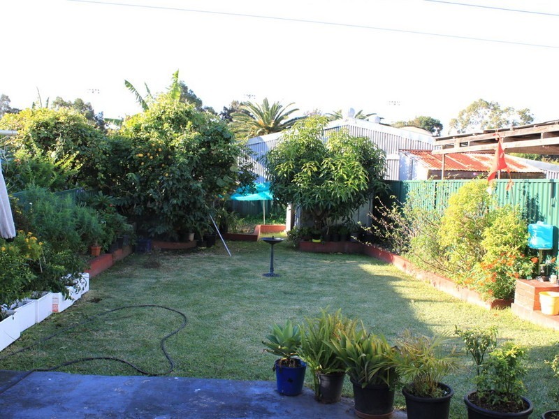 3 Nowra Street, Campsie NSW 2194