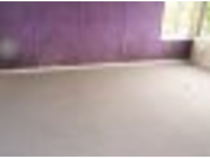 36 Clack Rd, Chester Hill NSW 2162