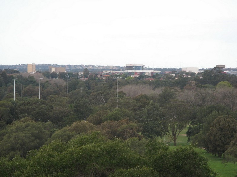 24/74 Wardell Rd, Earlwood NSW 2206