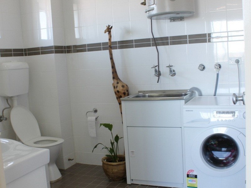 10/16 Northcote St, Canterbury NSW 2193