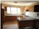84 Frederick St, Campsie NSW 2194