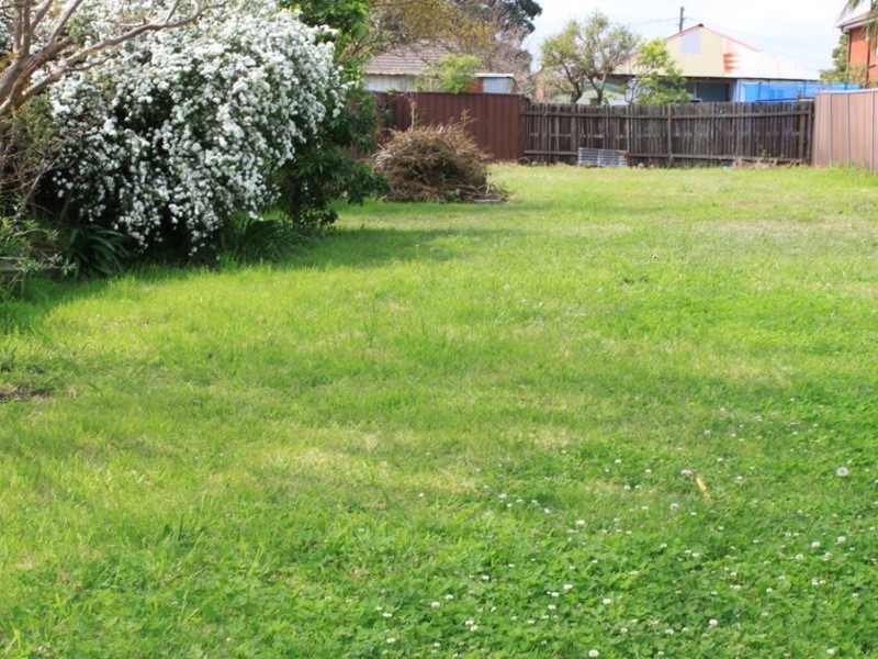 48 Rosemont St, Punchbowl NSW 2196