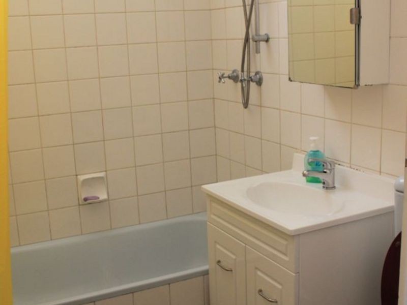 84 Ninth Ave, Campsie NSW 2194