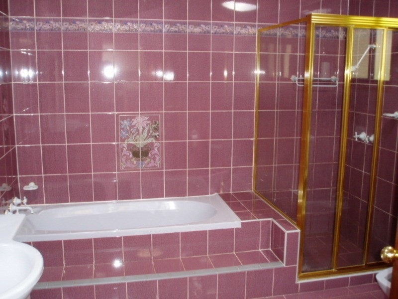 45 Cecilia Street, Belmore NSW 2192