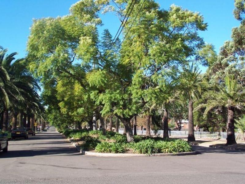 1/88 Eighth Ave, Campsie NSW 2194