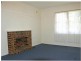 57 Vicliffe St, Campsie NSW 2194