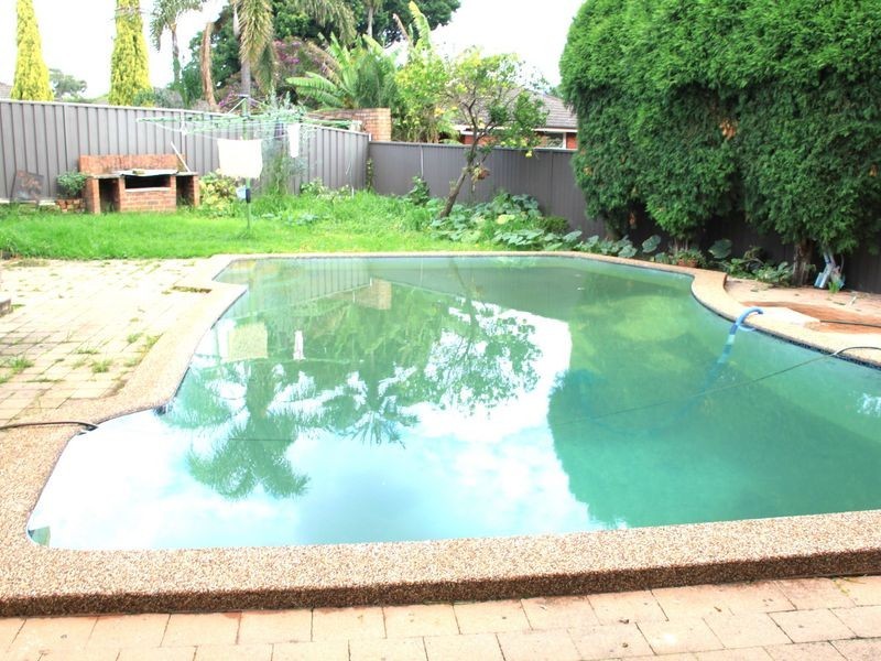 119 Kingsgrove Rd, Kingsgrove NSW 2208