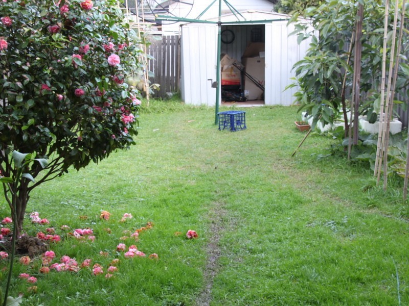 13 Gordon St, Campsie NSW 2194