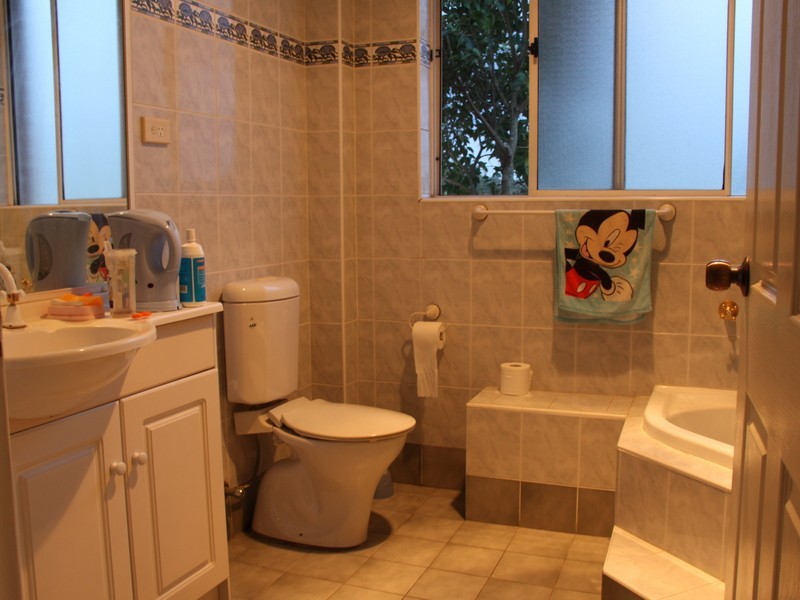 13 Gordon St, Campsie NSW 2194