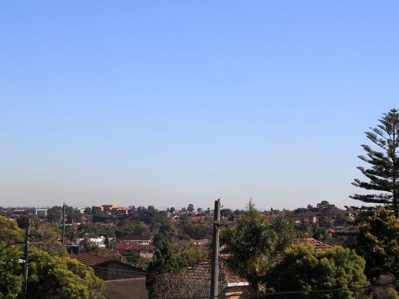 14 Waygrove Ave, Earlwood NSW 2206