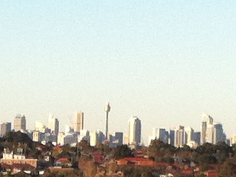 54 Prince Eward Ave, Earlwood NSW 2206