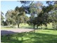 9 Barnes Ave, Earlwood NSW 2206