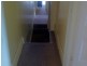 723 New Canterbury Rd, Dulwich Hill NSW 2203