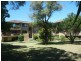 28 Claremont St, Campsie NSW 2194