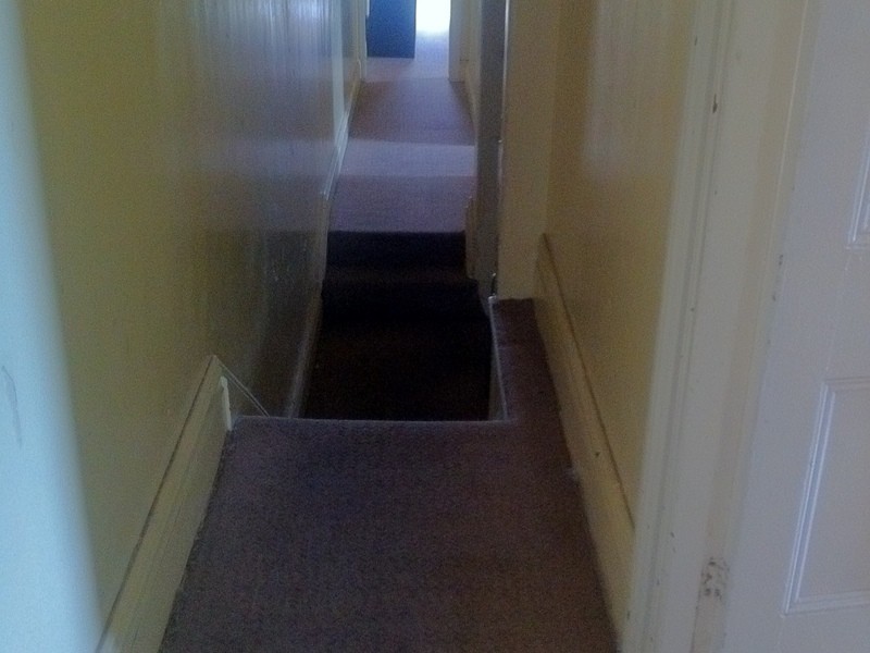 723 New Canterbury Rd, Dulwich Hill NSW 2203