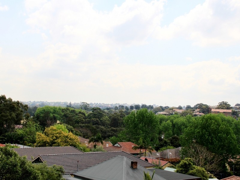 48 Undercliffe Rd, Earlwood NSW 2206