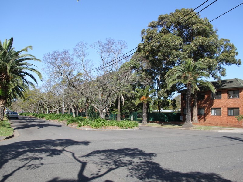 88 EIGHTH AVE, Campsie NSW 2194