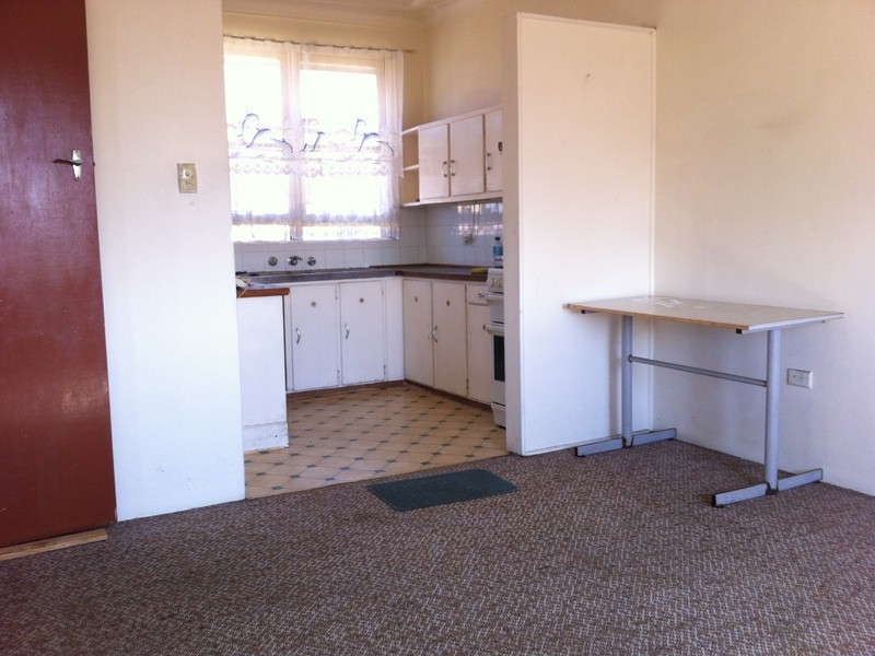 29 McKern Street, Campsie NSW 2194