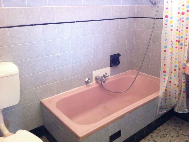 29 McKern Street, Campsie NSW 2194