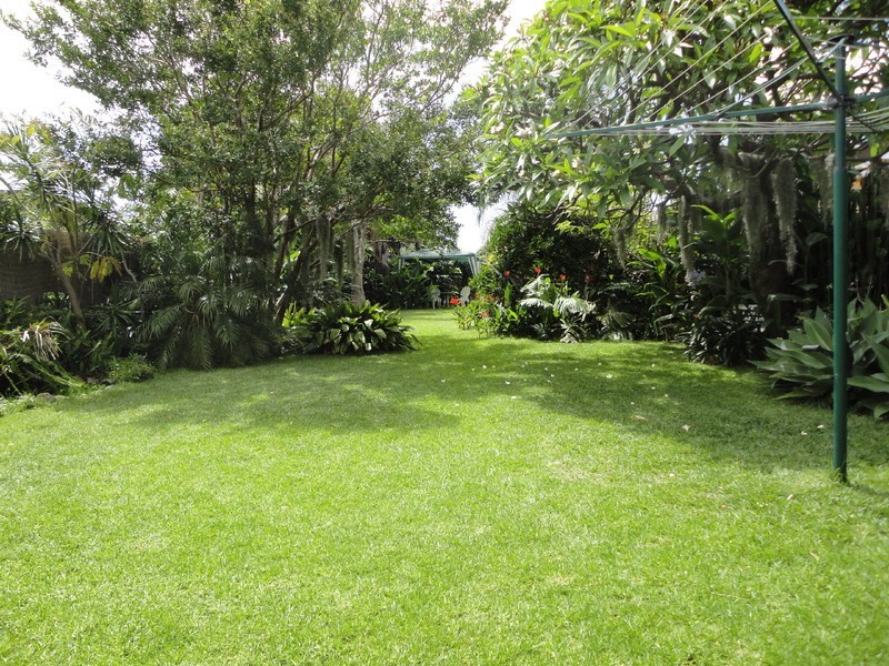 58 Northcote St, Canterbury NSW 2193