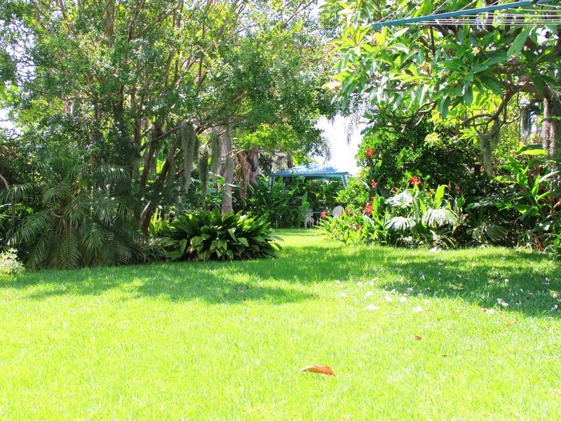 58 Northcote St, Canterbury NSW 2193