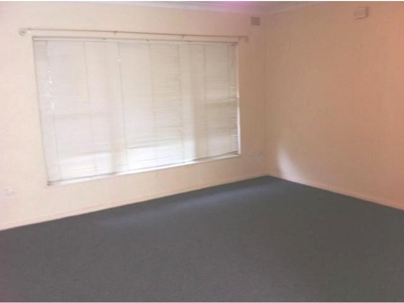 1/97 Homer St, Earlwood NSW 2206