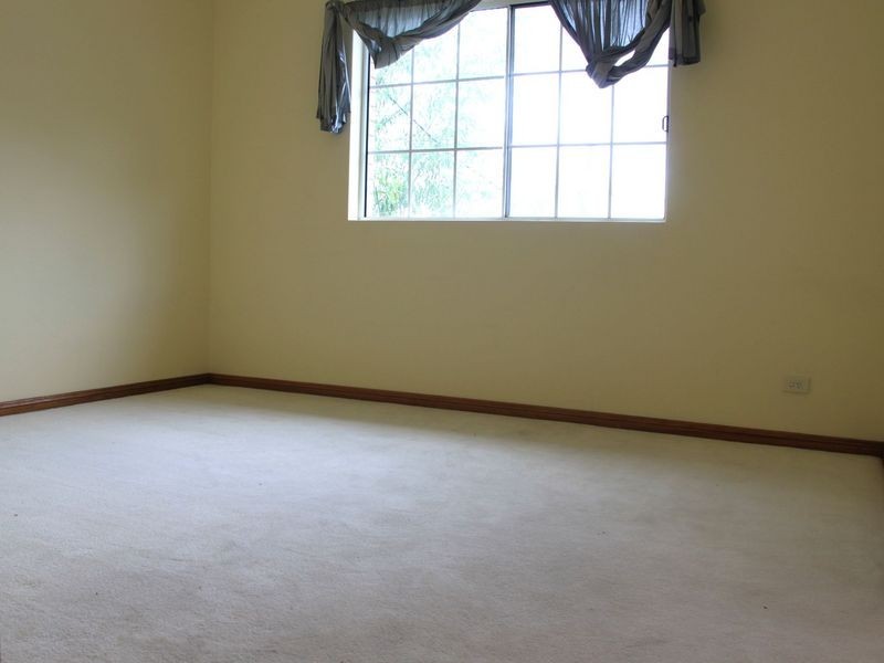 16 Ireland Street, Burwood NSW 2134