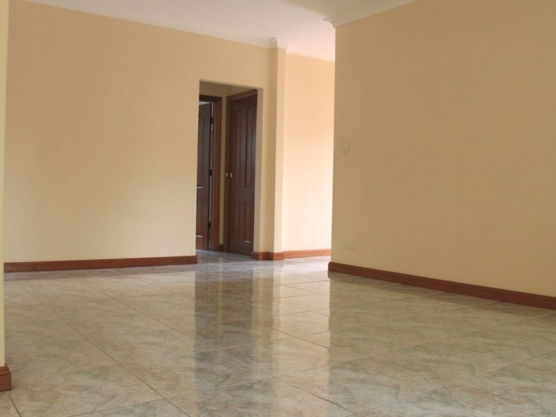 16A Ireland Street, Burwood NSW 2134