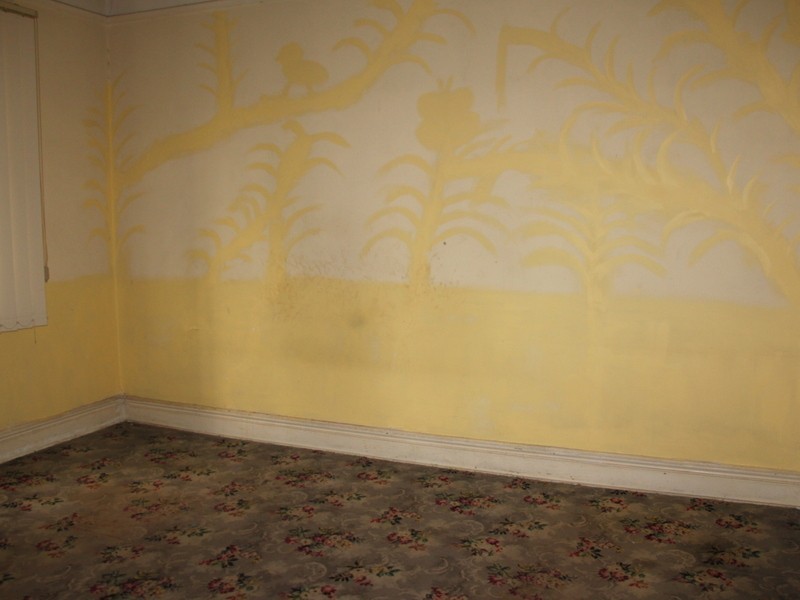 24 Marlowe St, Campsie NSW 2194