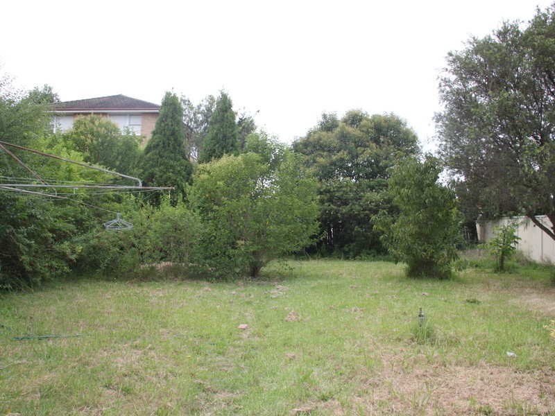 24 Marlowe St, Campsie NSW 2194