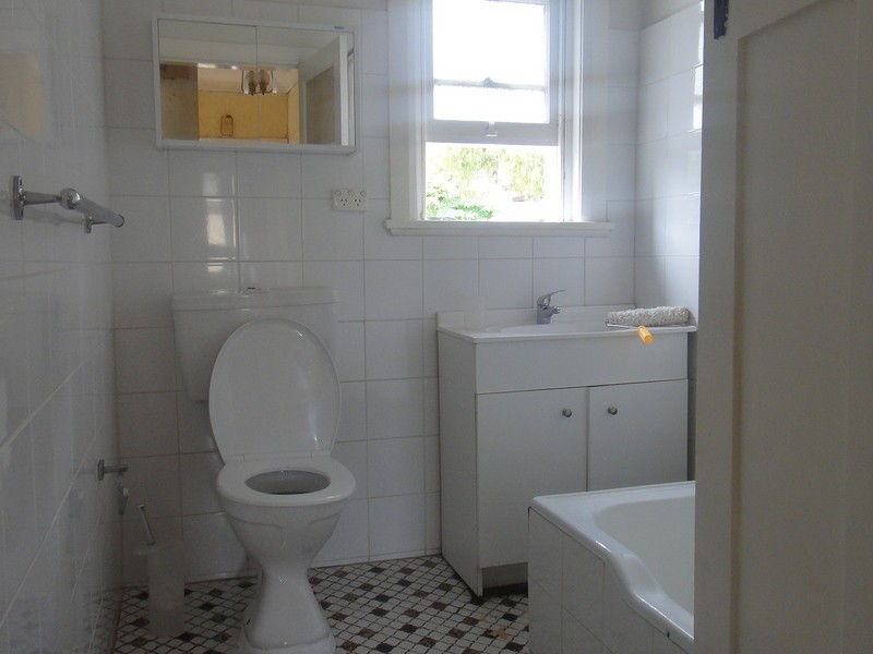 20 Albert Parade, Ashfield NSW 2131