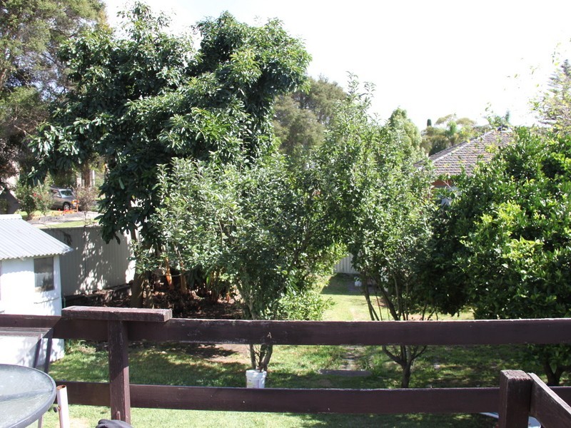41A Hamel Crescent, Earlwood NSW 2206