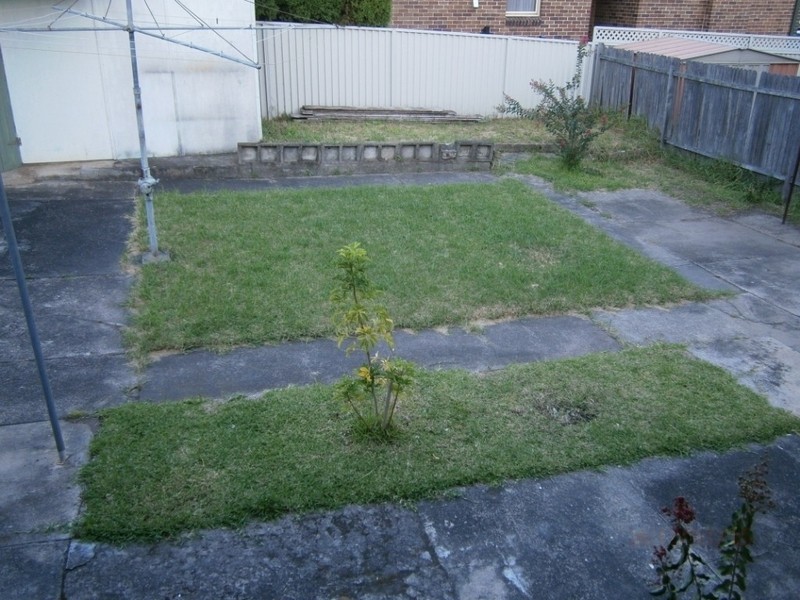 6 Morgan St, Earlwood NSW 2206