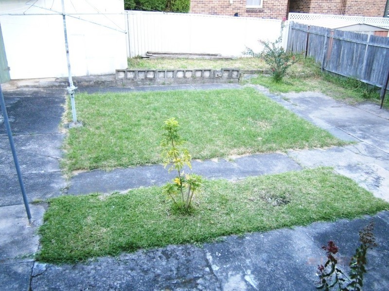 6 Morgan St, Earlwood NSW 2206