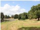54 Sixth Ave, Campsie NSW 2194