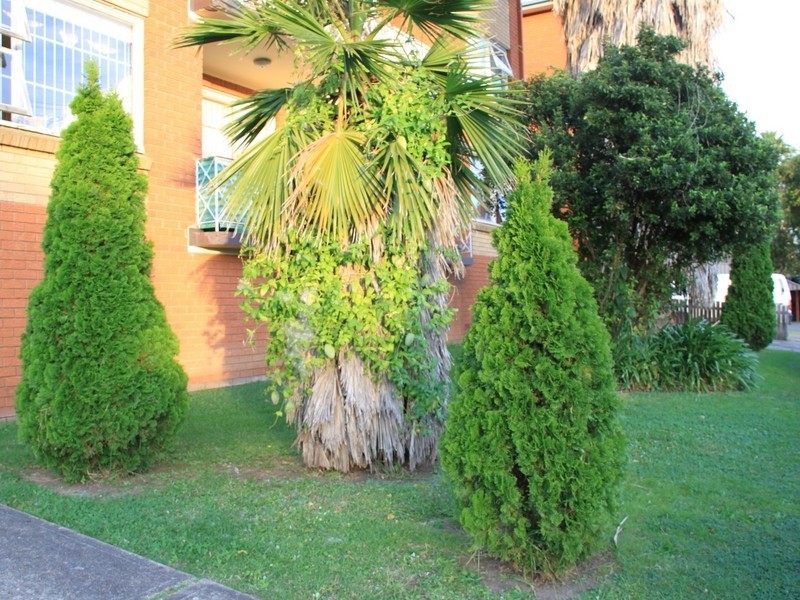 27 Wangee Rd, Lakemba NSW 2195