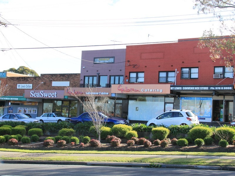 144 Wattle St, Bankstown NSW 2200