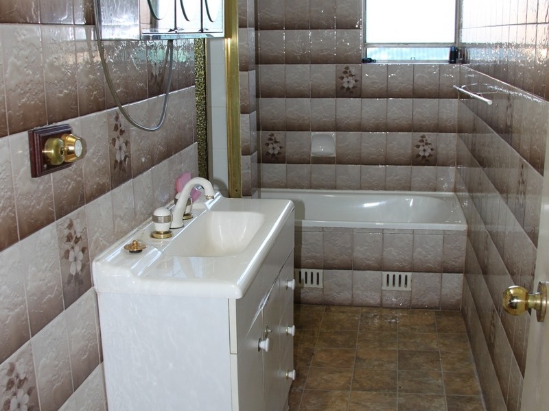 2 Gould Street, Campsie NSW 2194