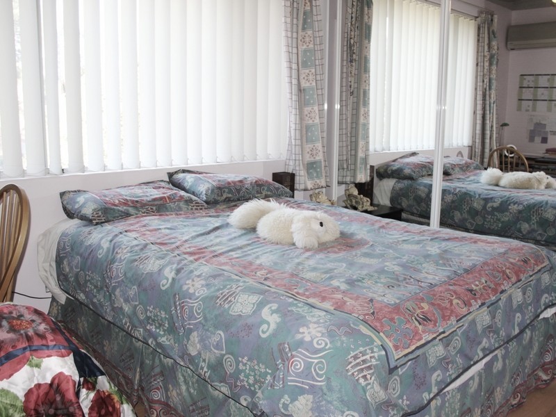 50 Hampden Rd, Lakemba NSW 2195