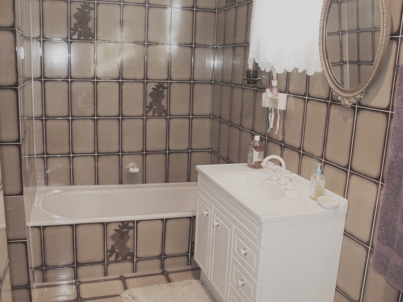 15 Emu Street, Canterbury NSW 2193