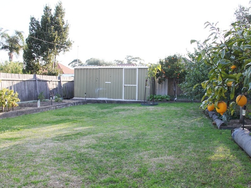 7 Service Ave, Ashfield NSW 2131