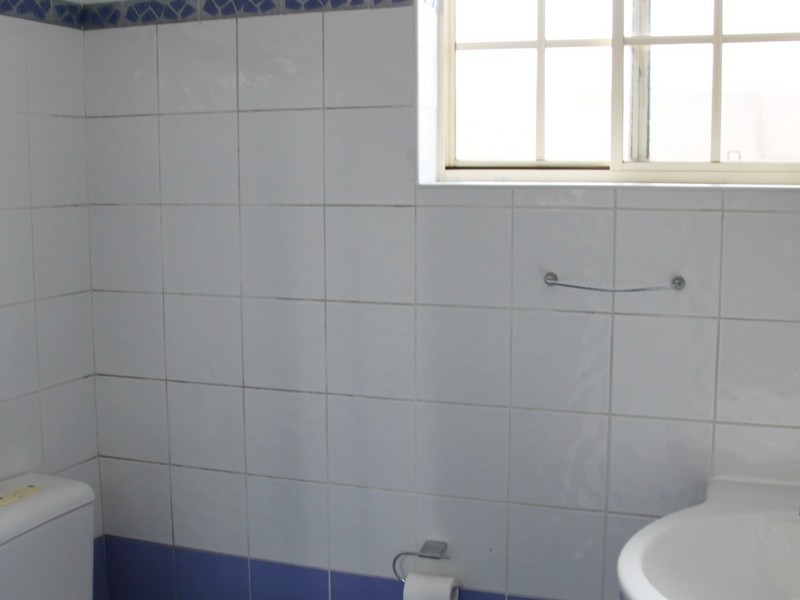 13a Crieff St Ashbury, Croydon Park NSW 2133