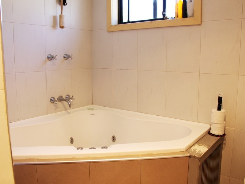 24  Alice Street, Wiley Park NSW 2195