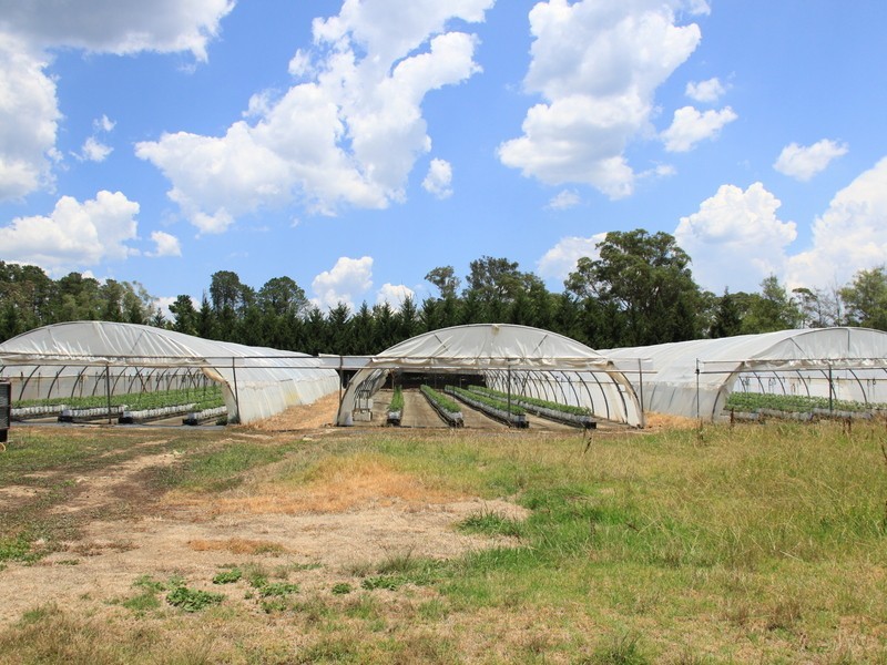 250 Bargo River Rd, Couridjah NSW 2571