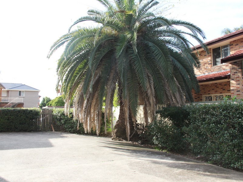 9/66-68 Clissold Pde, Campsie NSW 2194