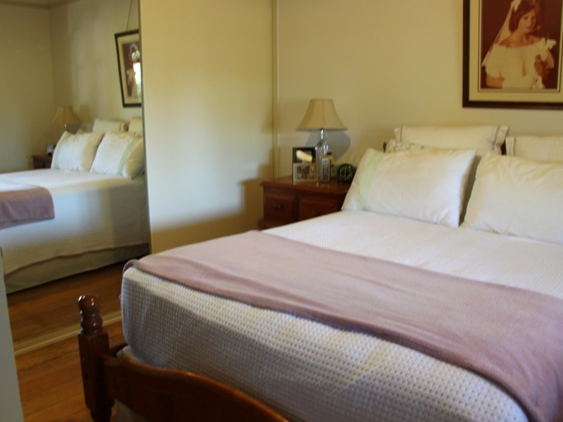 8 Albert St, Campsie NSW 2194