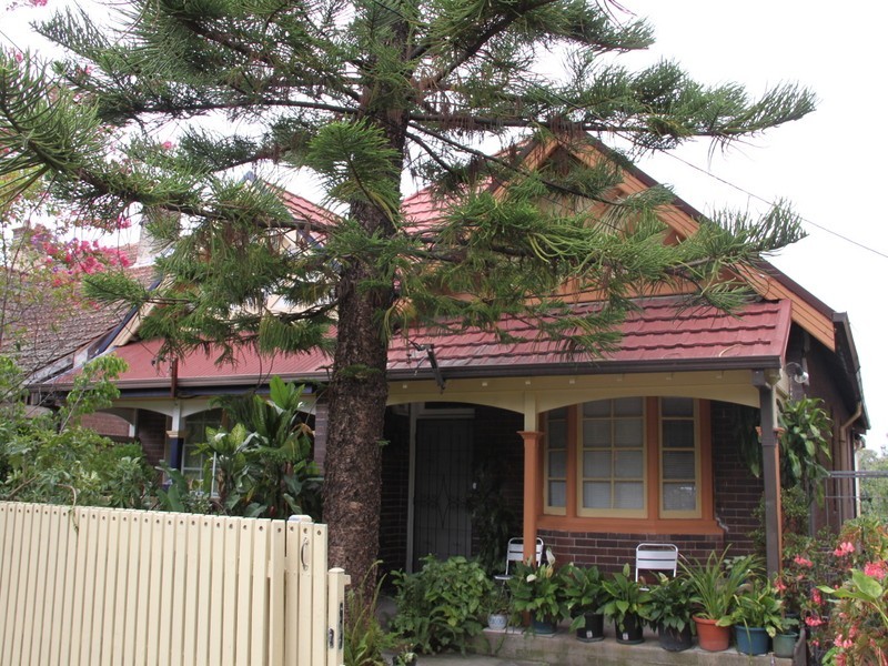 45 Carlton Cr, Summer Hill NSW 2130