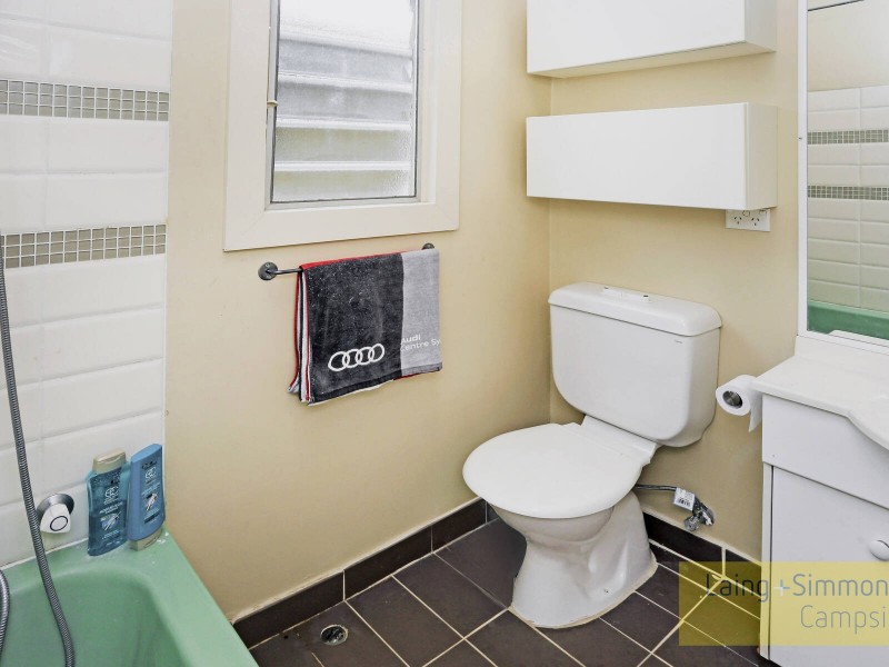 17 Rose Street, Punchbowl NSW 2196