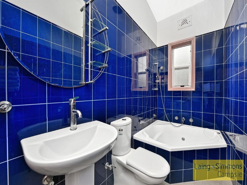 119 Evaline Street, Campsie NSW 2194