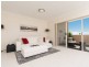341  Canterbury Rd, Canterbury NSW 2193